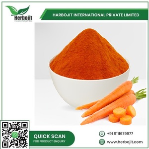 Exportador Indio de Polvo de Zanahoria Orgánico Seco de Grado Alimenticio, Suministro a Granel para Procesamiento de Alimentos y Mezclas de Condimento - Product Image 6