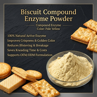 Poudre enzymatique composée de qualité alimentaire pour biscuits, additif de boulangerie, améliorant la pâte pour biscuits croustillants et craquelins – Approvisionnement direct usine