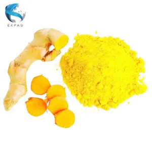 Factory supply fresh turmeric powder 2023 Healthife Organic Turmeric Extract Powder/Capsule Curcumin