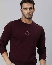 Sweat-shirt à col rond bleu clair pour homme, coupe classique, 100% coton tricoté, pull décontracté avec logo sur le devant - Product Image 4