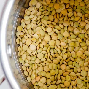 Healthy Food 100% Natural Legumes Organic Beans Bulk Non-GMO Dried Green Lentils
