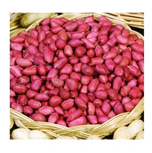 Cacahuetes de la Mejor Calidad, Granos de Cacahuete Crudos con Alto Contenido de Proteína en Venta - Product Image 6