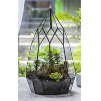 Design unique verre transparent souvenir de bureau terrarium succulent cadre en fer fini noir pour jardin et bureau décoration de table