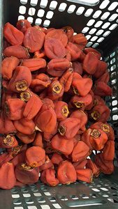 Kakis séchés de qualité d'exportation authentique, cœur moelleux, douceur intense, sélection premium pour l'industrie de la confiserie, vente en gros professionnelle - Product Image 2