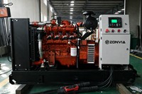 50kW Yuchai LPG-Gasgenerator 63kVA Industrieller Erdgas-CNG-Methan-Biogas 3-Phasen Wassergekühlter 50/60Hz ATS Automatischer Start