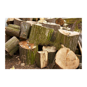 Bois de chauffage charme premium pour les commandes en gros stock de gros de haute qualité expédition rapide - Product Image 2