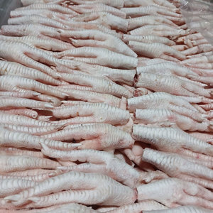 อุ้งเท้าไก่แช่แข็งฮาลาลเกรดพรีเมี่ยมแบบเท้าผ่านกระบวนการแช่แข็งพร้อมส่งจำนวนมาก - Product Image 4