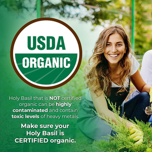 Suplemento herbario de albahaca sagrada orgánica de marca privada de alta calidad, cápsula potente antioxidante para fortalecer el sistema inmunológico - Product Image 2