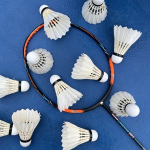 Pluma de bádminton Rex Feather de 5.0g, clásica para interiores, de alta velocidad, para entrenamiento, OEM personalizada - Product Image 1