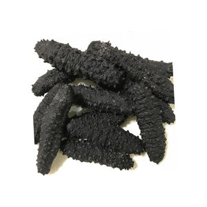 BEST SELLER CONCOMBRE DE MER SÉCHÉ |   Exporté par Tanis, qualité supérieure, durée de conservation de 24 mois, stockage au frais et à sec - Product Image 3