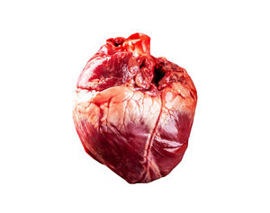 Corazones de carne congelados naturales de alta calidad, venta directa de fábrica a demanda mundial - Product Image 1