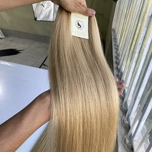 Brut Vietnamien 613 Vierge Cheveux Weave Bundles Du Vendeur 100% Premières Non Transformées de Cheveux Humains 613 faisceaux de cheveux blonds - Product Image 5