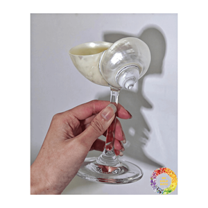 Copas de vino hechas de conchas de Caracol naturales, copas de vino de concha marina de gran oferta/copa de concha de postre de cocina - Product Image 6