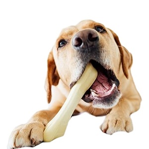 Eco2go Vietnam - Barra Masticable Ecológica para Perros |   Masticable Natural Sostenible para Cachorros y Adultos - Product Image 5