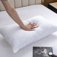 Sarung Bantal Anti Tungau Hipoalergenik Poliester Berkualitas Tinggi Ukuran Queen dan King untuk Penggunaan di Kamar Tidur Keluarga