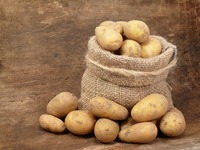 Fabrieksdirecte levering verse aardappelen prijs per ton (Solanum Tuberosum) te koop