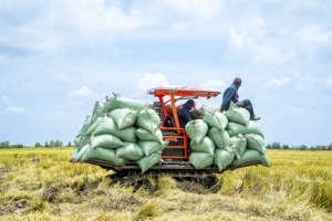Tractor de orugas turbo HOGICO HG-80VN de 80HP, diésel, con orugas de goma, maquinaria agrícola para campos de arroz - Product Image 4