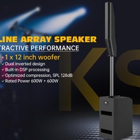 Système audio de subwoofer actif puissant ITC de 12 pouces, enceinte active portable à ligne acoustique, puissance nominale 600W+600W