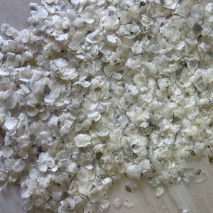Báscula de pescado seco y sin procesar, para producción de colágeno, cantidad natural a granel, de fábrica de Vietnam - Product Image 3