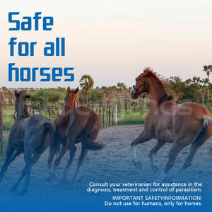 OEM (Paquete de 3) Wild Horse 100 mg Cada Uno, Suplementos Nutricionales en Gel con Sabor a Manzana, Color Sólido, Apoyo Inmunológico, Salud Digestiva - Product Image 4