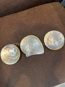 Hoge Kwaliteit Gele Lip Parelmoer Bord Kaviaar Serveerschaal Gemaakt Van Shell Handgemaakte Vietnam Kaviaar Plaat