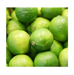 Best Price <b>Fresh</b> <b>Fruits</b> Green Limes Bulk Stock Available With Customized Packing - Product Image 3