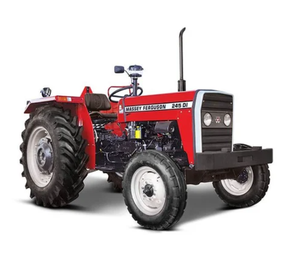 Tractores usados Massey Ferguson 245 DI para agricultura disponibles al precio más barato - Product Image 1