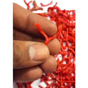 440 piezas de coral italiano natural de 5mm a 40mm en bruto 550 Cts lote Iroc ventas materia prima de alta calidad para piedras preciosas sueltas US $83 todo - Product Image 3