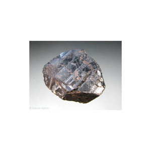 Polvo grueso de tungsteno 99.5% Pureza Producto patentado con precio competitivo - Product Image 1