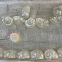 Verres à vin de coquillage personnalisés Offres Spéciales-Verres à Martini faits à la main en coquille d'escargot de mer pour la décoration de mariage/maison/Restaurant