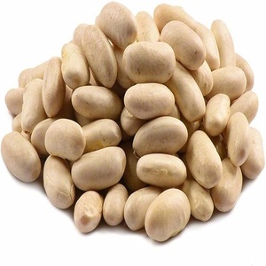 High Quality Large Size Premium White <b>Kidney</b> <b>Beans</b> Wholesale Export Quality GMO Fresh Red <b>Beans</b> - Product Image 4