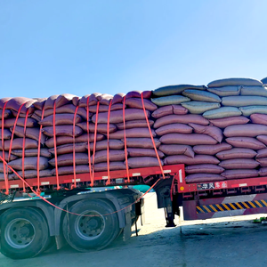 بذور عباد الشمس العضوية الخام المجففة عالية الجودة الأوروبية 25 كجم بسعر الجملة للطن - Product Image 6