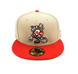 2025 nouveau concepteur casquette de Baseball motif coton abeille chapeaux brodé camionneur chapeau en gros 3d broderie Sport Baseball chapeaux - Product Image 1