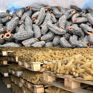 Nhà máy người mua Giá khô dưa chuột biển khô dưa chuột biển để bán - Product Image 3