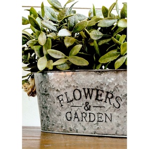 Jardinière de Pots en fer métal Vintage pour plantes, jardin moderne de ferme fait à la main en métal galvanisé - Product Image 2