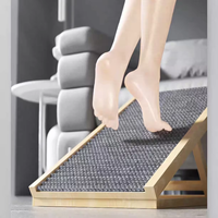 Rampe pour animaux de compagnie en bois réglable, escalier pliable pour chien, échelle d'escalade pour chat et chien d'intérieur, antidérapante, portable
