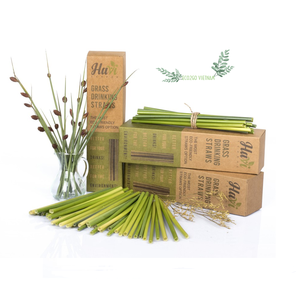 Paja de hierba de Vietnam | Pajita de hierba con venta a granel y material natural de alta calidad de Eco2go - Product Image 2