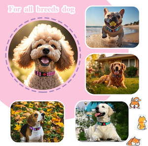 ปลอกคอสุนัขไนลอนหลากสีดีไซน์สดใสปรับได้พอดีวัสดุทนทานน้ำหนักเบาใส่สบายเหมาะสำหรับสุนัขที่ใช้งาน - Product Image 5