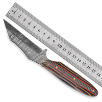 Couteau de chasse et de survie personnalisable OEM DD-DAM-557 en acier Damas, manche Micarta cinq couleurs, lame droite à pointe clip.