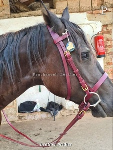 Brida de caballo de cuero de edición limitada Estilos ingleses occidentales personalizados Brida de equitación de cuero genuino Tendencias de proveedores al por mayor - Product Image 2