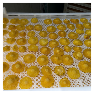 Ananas séché doux du Vietnam avec couleur dorée, tranches uniformes, contrôlé par l'humidité, emballé en vrac, sacs au détail pour les commandes d'exportation - Product Image 1