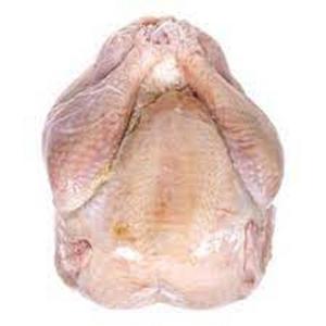 Pavo Entero Congelado Orgánico Premium a Granel, Saludable y Nutritivo para Venta al por Mayor, Envasado al Vacío, Proceso LQF - Product Image 1