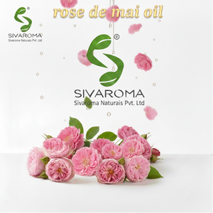 Huile de Rose de Mai 100% Pure de Qualité Supérieure, Soigneusement Traité, pour Produits d'Arôme et de Soins Personnels de Luxe - Product Image 5