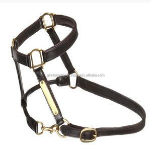 Licou de cheval en cuir souple rembourré entièrement réglable noir ou marron de haute qualité dans toutes les tailles personnalisées avec plaque nominative et matériel en laiton - Product Image 1