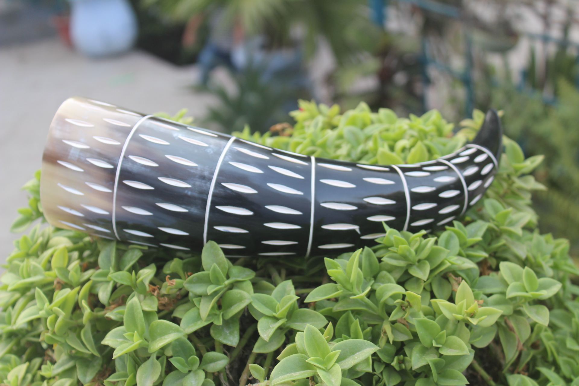 Natural Horn (Black / Brown / Mixed)