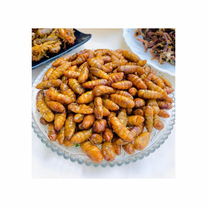 Sustainable silkworm pupae feed meal ideal for aquaculture industries - Product Image 4