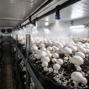 Invernadero Contenedorizado para Cultivo de Hongos, Equipo de Cultivo Automático, Agricultura Inteligente, Uso Comercial - Product Image 4