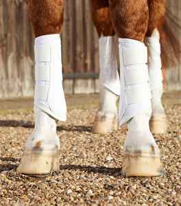 Botas Profesionales para Cepillado de Caballos con Soporte Completo para el Menudillo, Acolchado Absorbente de Impactos, Logotipo Personalizado Disponible - Product Image 6