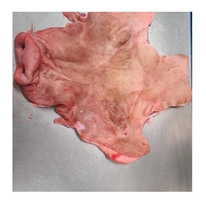 Carne de Cerdo Congelada - Carne de Alta Calidad para Cocinar y Procesar (1kg-1.2kg) - Precios al por Mayor y Envío Global Disponible - Product Image 4