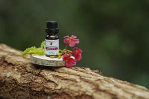 Aceite Esencial de Geranio, Extracto de Hoja con Citronelol y Granenol, 100% Puro, Destilado al Vapor, en Bidón Azul de HDPE de 25L - Product Image 3